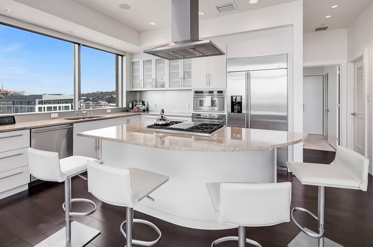Seattle Belltown Penthouse