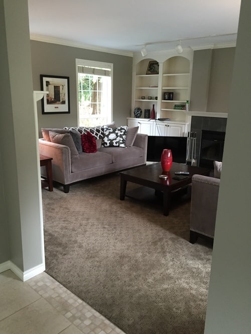 Sammamish Remodel